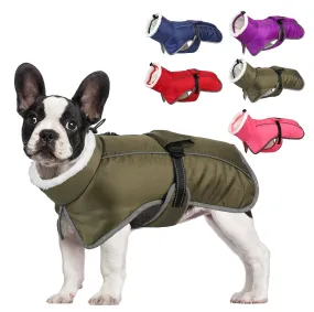 French Bulldog Reflective Coat with Adjustable Buckle and Fleece Turtleneck